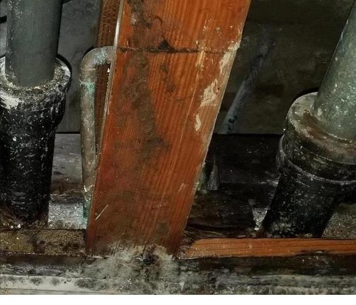 visible mold in bathroom on pipes