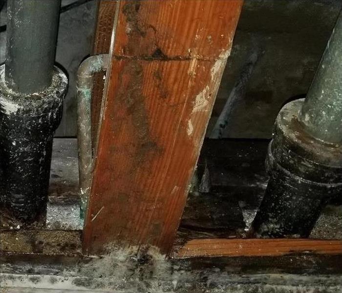 visible mold in bathroom on pipes