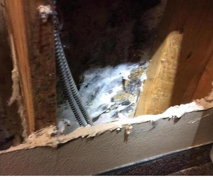 large areas of mold in walls of bathroom 