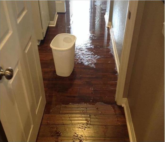 water flooded in hallway with grey walls on water on the hard wood floors
